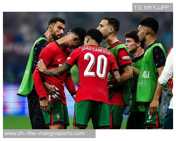 2016年欧洲杯精彩回顾葡萄牙对阵威尔士的经典时刻与精彩进球分析